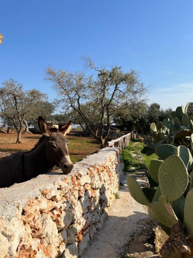 Trulli Dell'Angelo Villa Specchiolla Kültér fotó